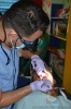 Jornada de Operativos Médicos Odontológicos 
