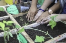 Legumbres, Salud y Nutrición eje temático de la XII Ecoferia UCNE, 2016