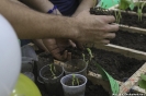 Legumbres, Salud y Nutrición eje temático de la XII Ecoferia UCNE, 2016