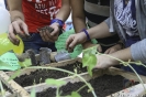 Legumbres, Salud y Nutrición eje temático de la XII Ecoferia UCNE, 2016