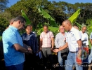 Proyecto Producción de Cornos de Plátano UCNE.