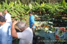 Proyecto Producción de Cornos de Plátano UCNE.