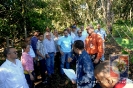 Proyecto Producción de Cornos de Plátano UCNE.