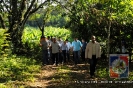 Proyecto Producción de Cornos de Plátano UCNE.