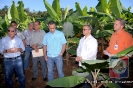 Proyecto Producción de Cornos de Plátano UCNE.