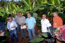 Proyecto Producción de Cornos de Plátano UCNE.