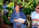 Proyecto Producción de Cornos de Plátano UCNE.