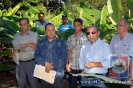 Proyecto Producción de Cornos de Plátano UCNE.