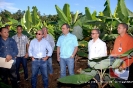 Producción de Cornos de Plátano