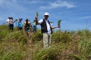 UCNE planta dos mil árboles en Colonia de Jaya_4