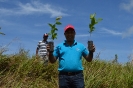 UCNE planta dos mil árboles en Colonia de Jaya_7
