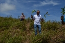 UCNE planta dos mil árboles en Colonia de Jaya