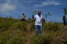 UCNE planta dos mil árboles en Colonia de Jaya
