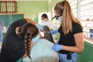 UCNE y Universidad de Bufalo realizan jornada de operativos odontológicos