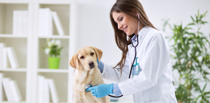Veterinaria